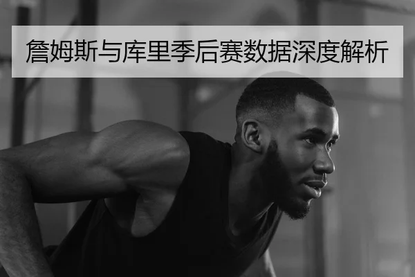 詹姆斯与库里季后赛数据深度解析